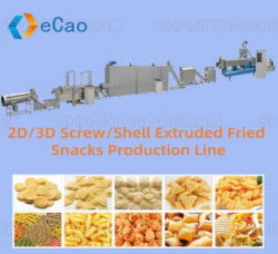 2D/3D Screw/Shell Extruded Fried Snacks Production Line